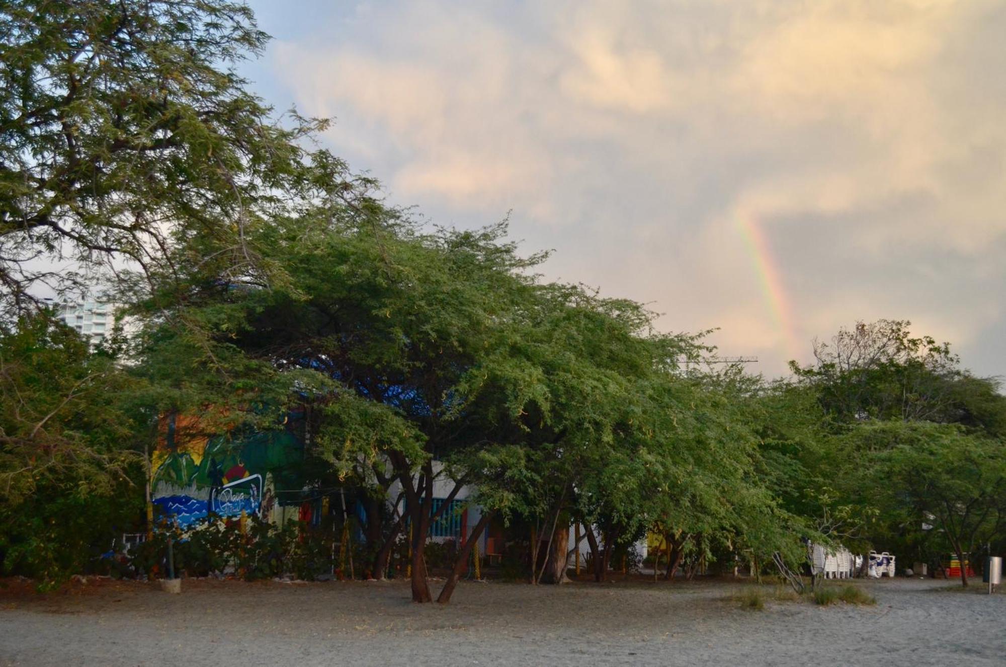 Playa Del Ritmo Beach Hostel & Bar - Adults Only 圣玛尔塔 外观 照片